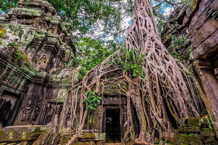 Recorrido a pie privado por los templos de Angkor desde Siem Reap - Recogida / regreso gratis al hotel