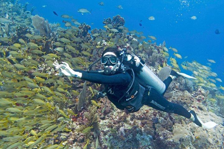 Prueba Bucear en el Museo Submarino de Cancún