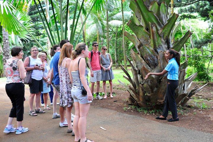 Tour storico guidato di un giorno: Città - Mondo dello zucchero - Orto botanico