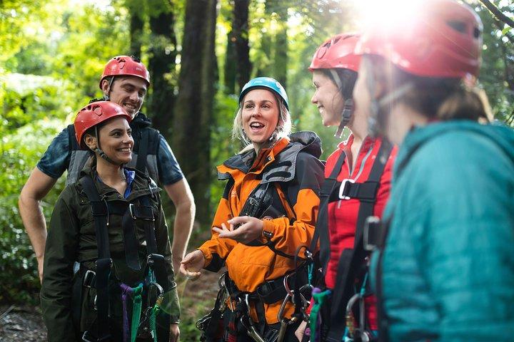 Die originale Canopy Zipline Experience-Privattour ab Auckland
