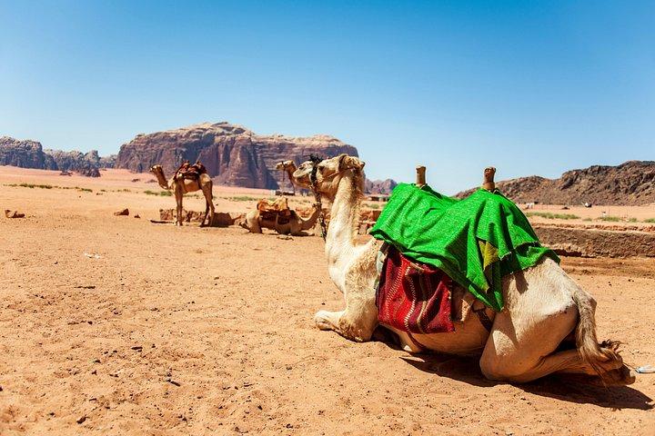 Half-Day Jeep Tour: "Wadi Rum Images"