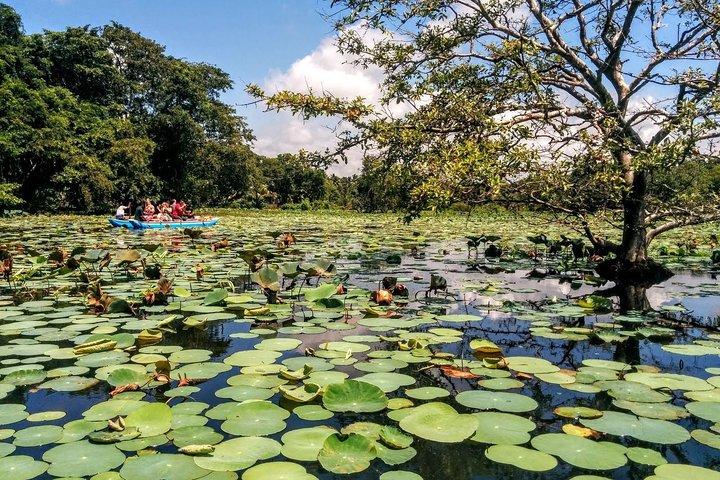 Hotéis com café da manhã em Sri Lanka