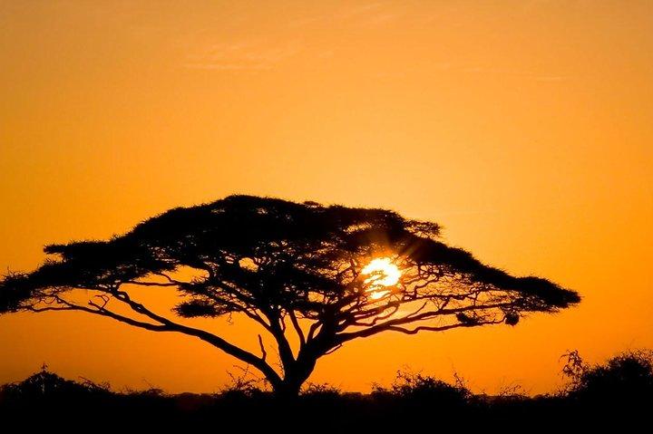 Safari privé à Amboseli de 2 jours