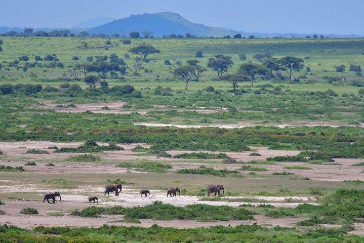 Safari privé à Amboseli de 2 jours