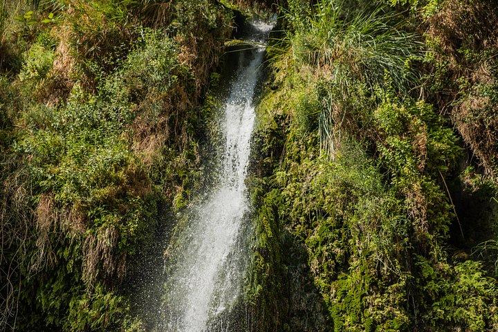 Totes Meer, Masada und Ein Gedi Tagestour ab Jerusalem