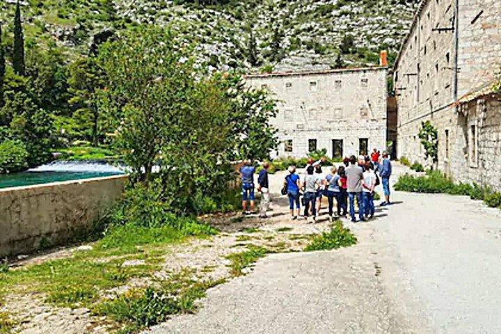 Dubrovnik City Tour: Panorama Drive & Sightseeing Walk