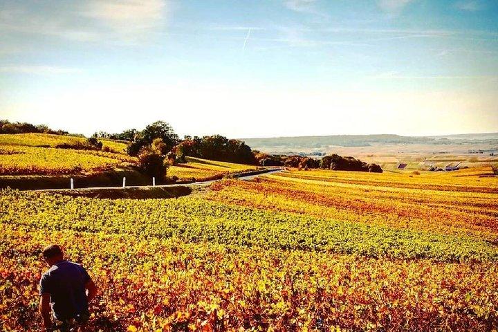 Champagne Moet et Chandon Visite Privée avec Dégustations de Reims ou Epernay