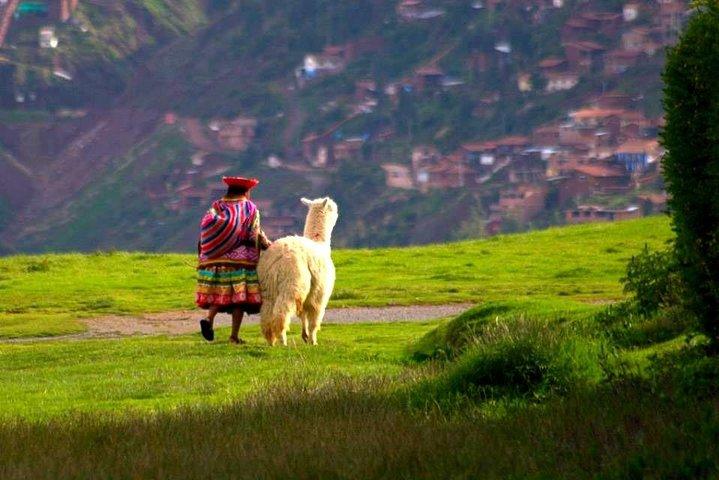 Cusco City Tour - Grupptjänst