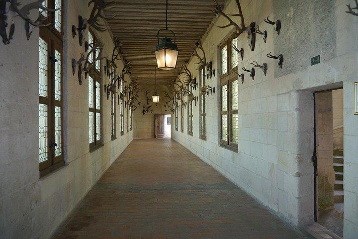 Castelo de Chambord: excursão a pé guiada privada