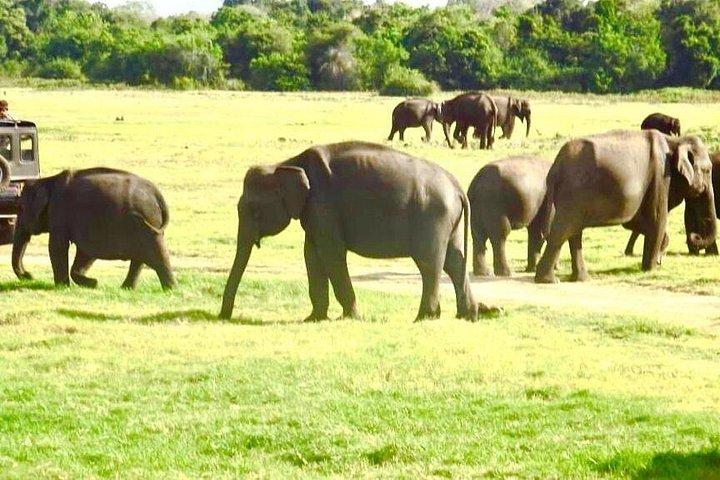 Sri Lanka highlights 5N | 6D