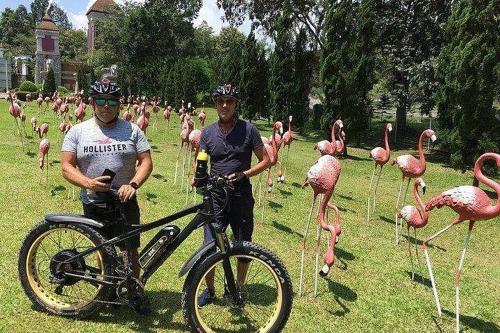1日Eバイクカントリーサイドとナムプラエ（平坦丘陵、ガイド付き）