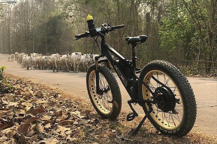 Half-day E-bike Nam Phrae (hilly, fully paved roads, GUIDED)