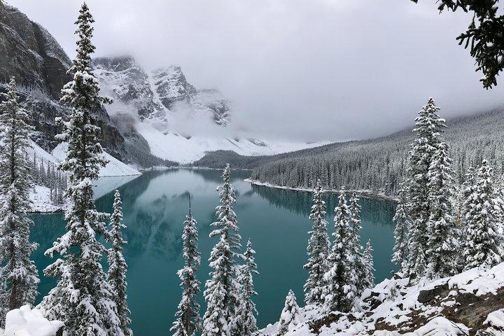 Privat rundvisning i Lake Louise og Icefield Parkway for op til 12 gæster