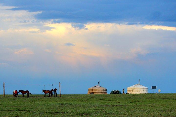 Deserto del Gobi Mongolia per 8 giorni