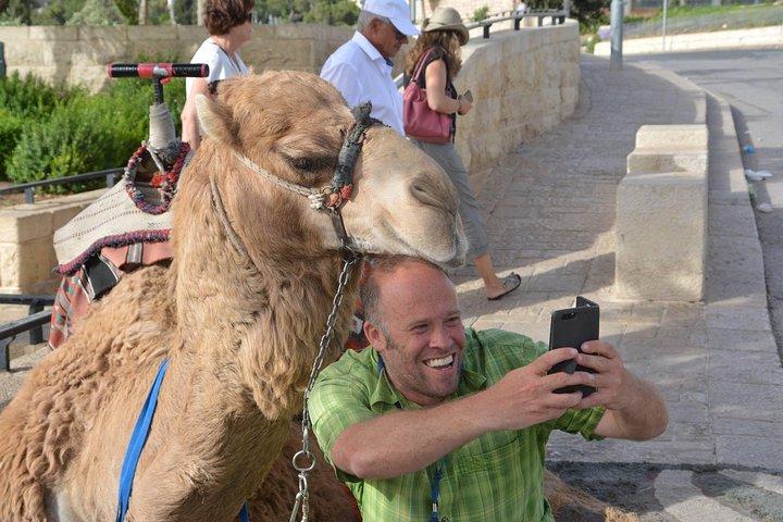 Visite à pied de la boutique de Jérusalem