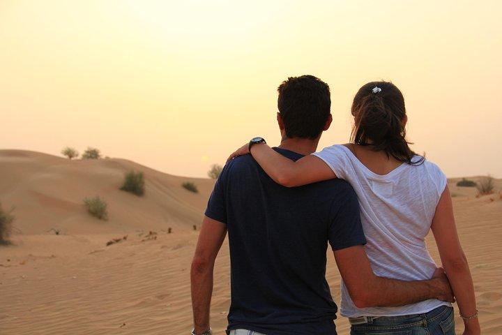 Erstaunliche Abu Dhabi-Abendsafari