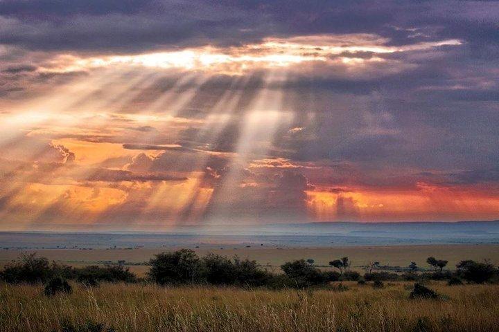 6 jours de safari en groupe Maasai Mara / Nakuru / Amboseli
