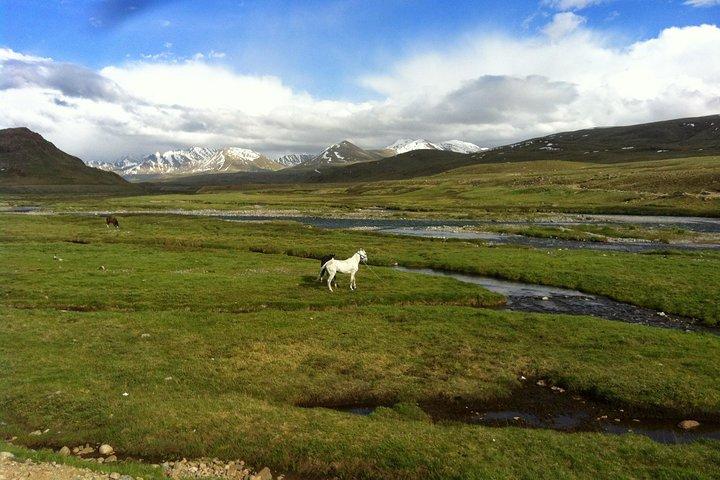 9-dages tur til Skardu, Deosai, Rama-enge Fra maj til oktober