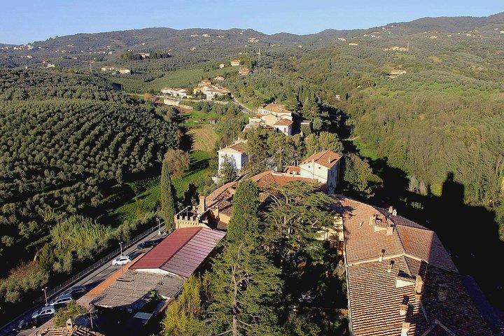 Fra Firenze: Privat dagstur til Leonardo's fødested og frokost