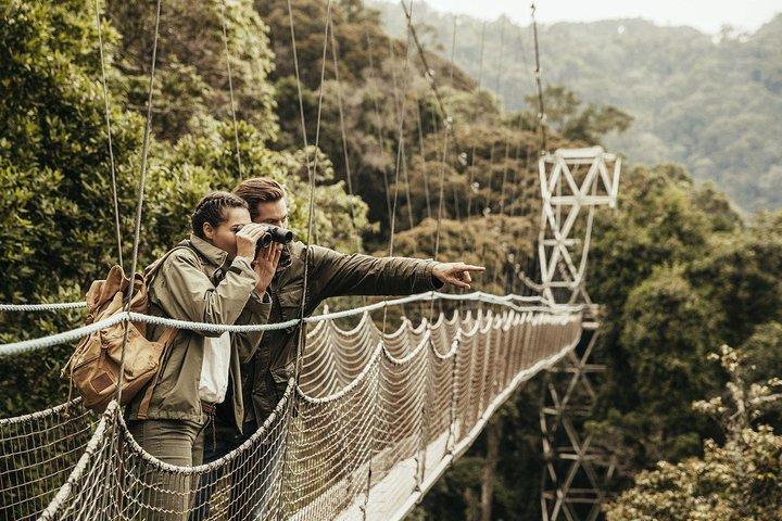 Visita del Parco nazionale di Nyungwe