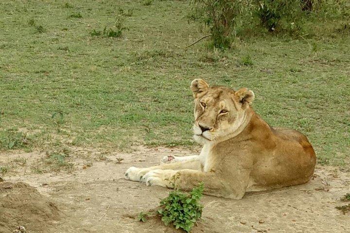 3 días en Masai Mara