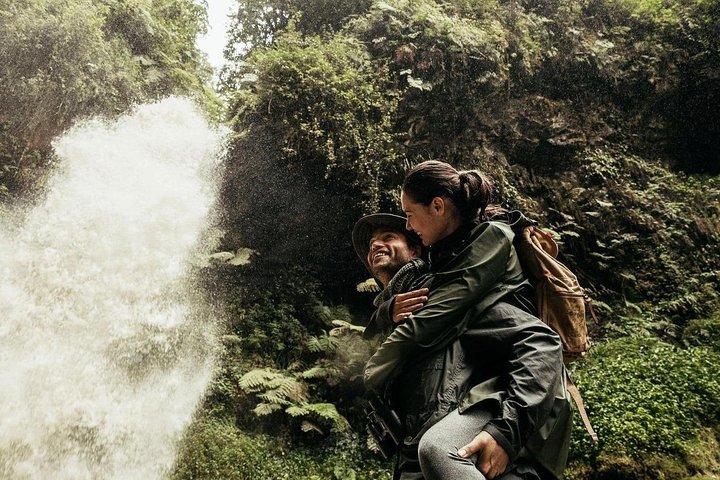 ニュングウェ国立公園での2日間のカスタム旅程（チンパンジー追跡）
