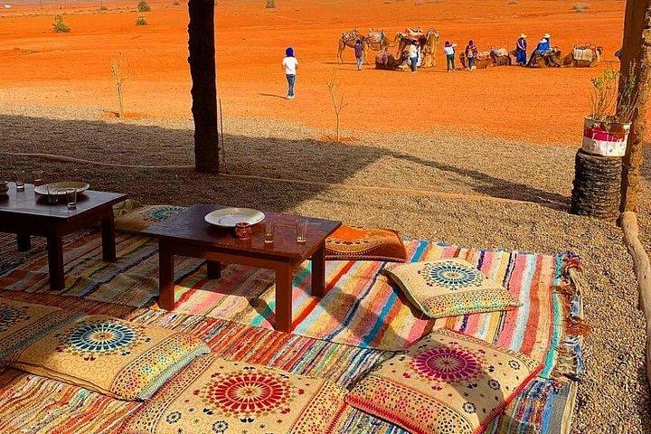 Ultimate Marrakech Desert Adventure: Camel Rides & Buggy Thrills