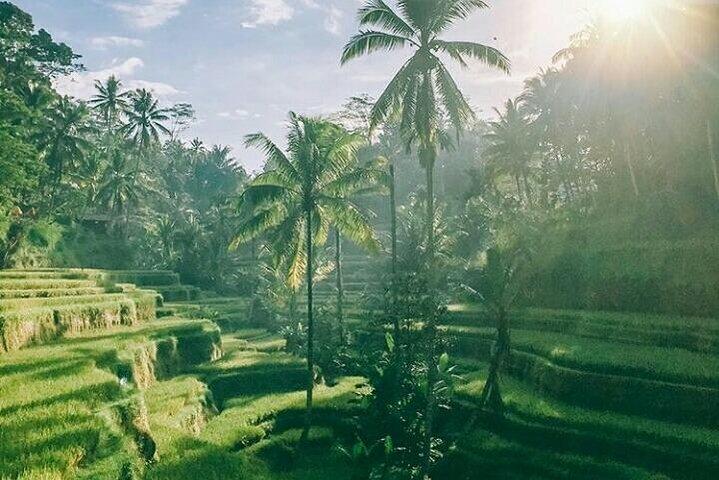 Package tour 2 day in bali all inclusive ( instagram tour and best beaches tour)