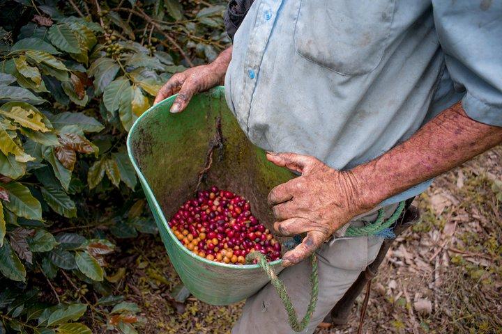 Tour Cafetero.
