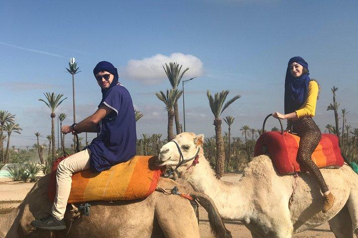 Marrakech Beautifull Sunset Camel Ride Experiência