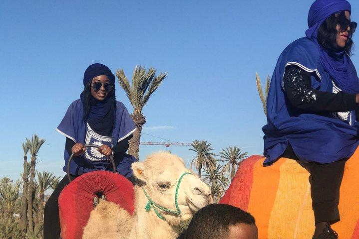Marrakech Beautifull Sunset Camel Ride Experiência