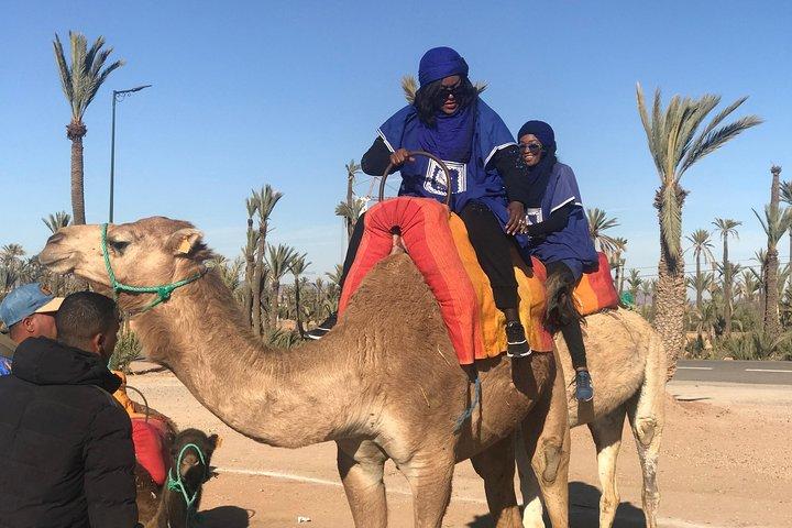 Marrakech Beautifull Sunset Camel Ride Experiência