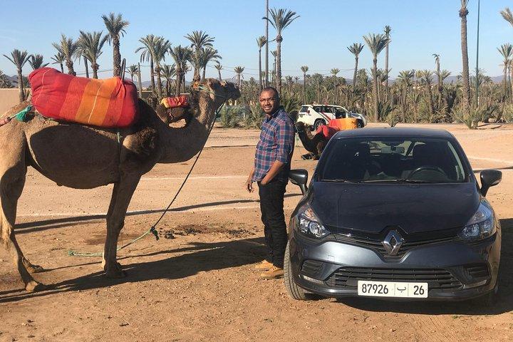 Marrakech Beautifull Sunset Camel Ride Experiência