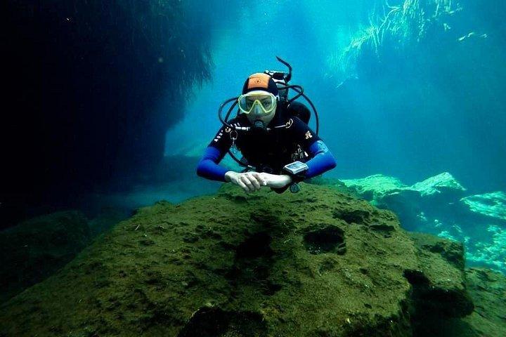 Try dive in beautiful Casa cenote for 2 people