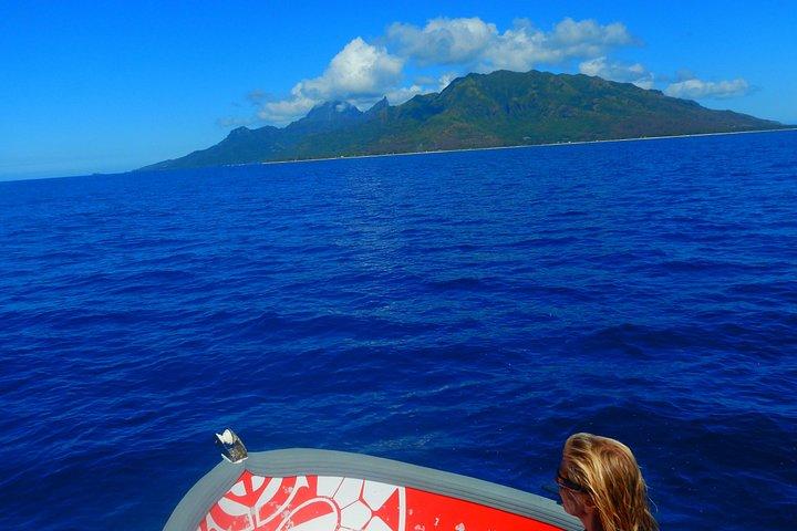 Tour Bateau 1/2 journée Excursion dans le lagon de Moorea