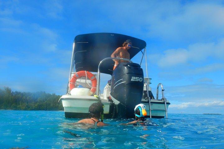 Gita in barca 1/2 giornata Escursione nella laguna di Moorea