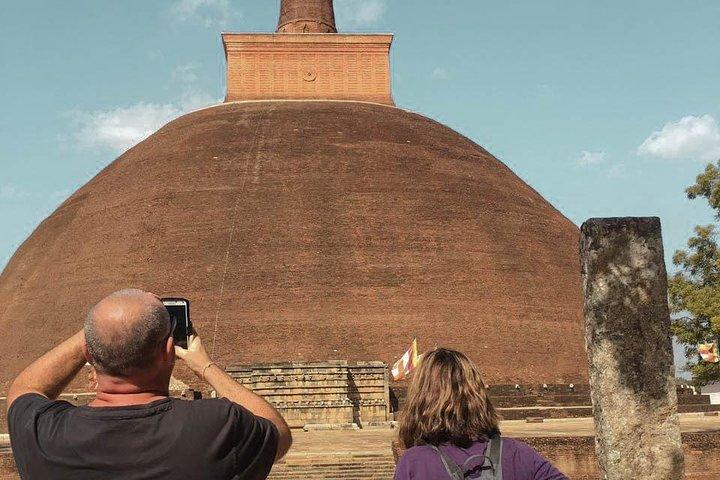 Wild Wonders and Sacred Spaces Tour from Galle (2 Days)