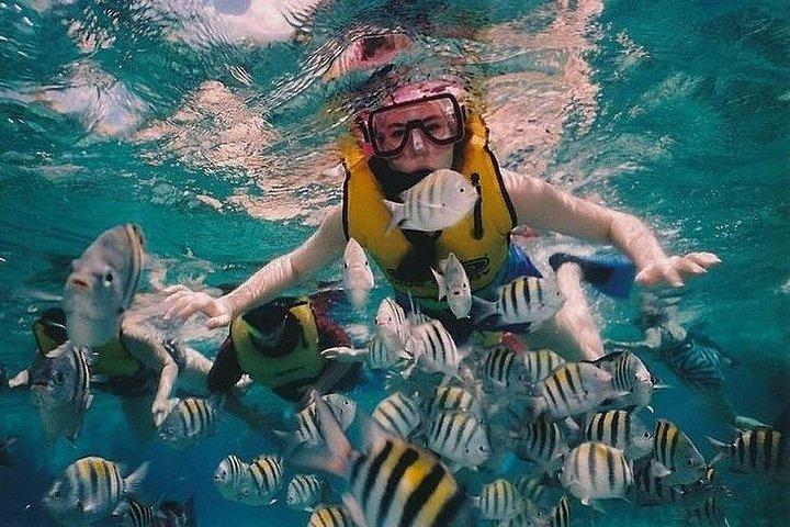 プーケットからの終日ラチャ・ノイとラチャヤイ・シュノーケリング