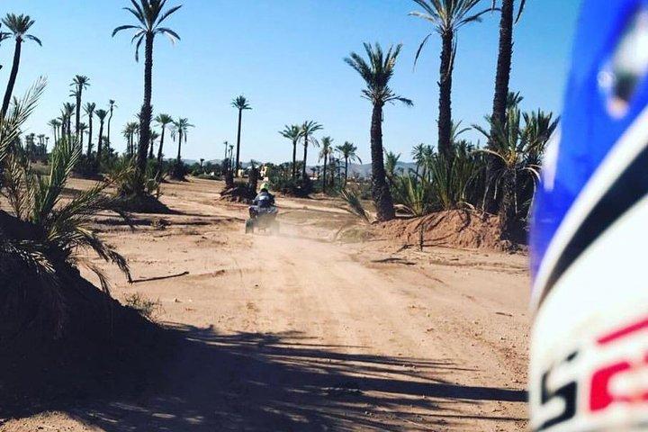 Half Day Marrakech Palm groves Quad Bike