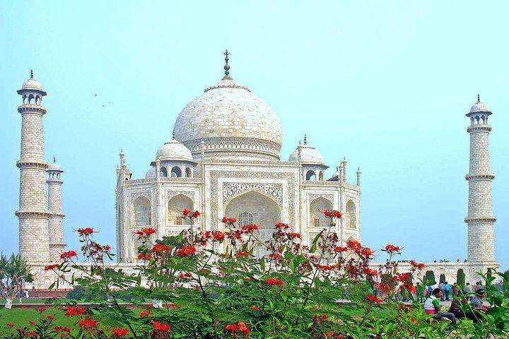 Excursión de un día al Taj Mahal Agra Fort Baby Taj desde Delhi