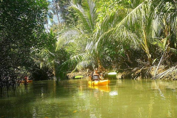 Mangrove Kayak