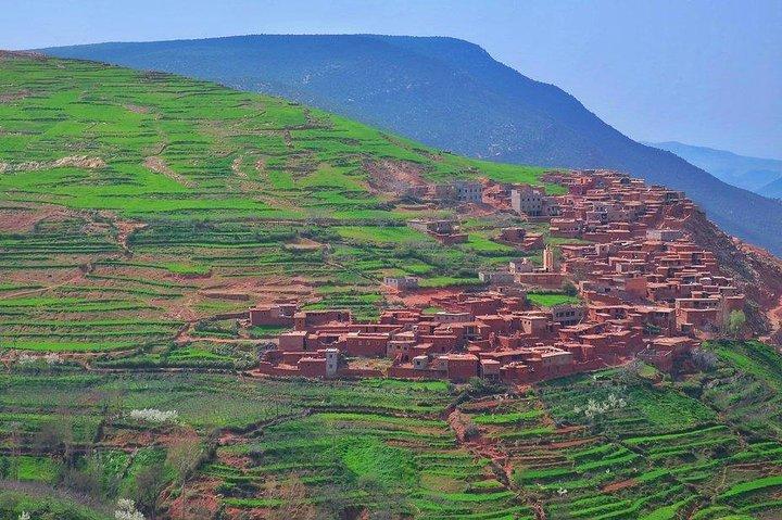 Full-Day Tour of Atlas Mountains with Camel Ride