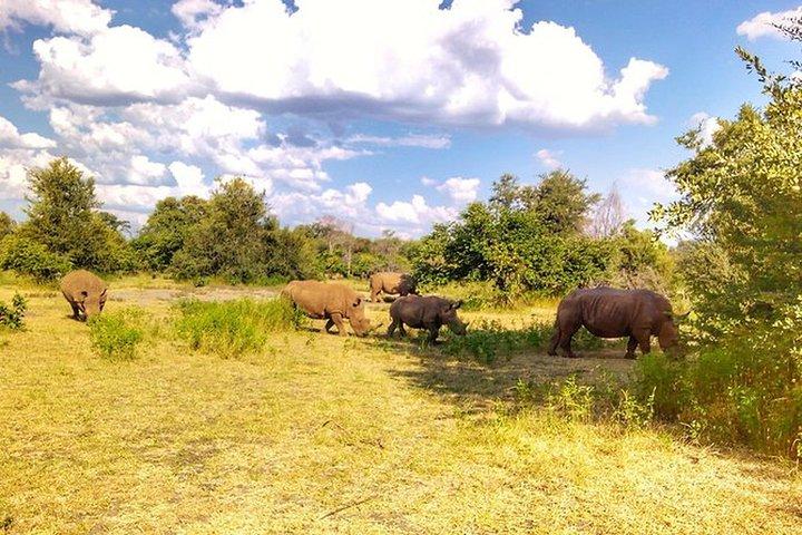 Game Drive nel Musi Otunya National Park