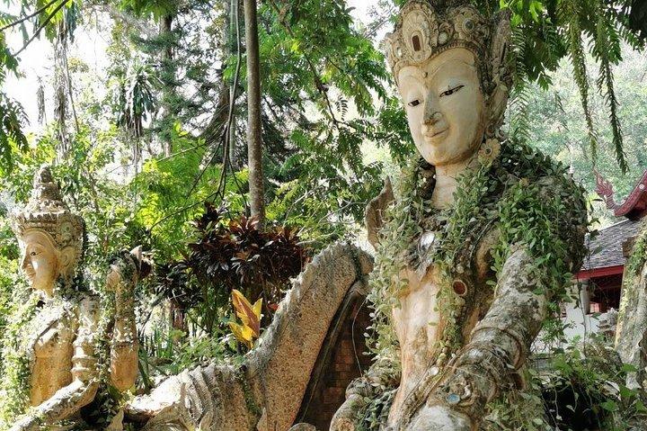 チェンマイ市内プライベートツアー： 有名な寺院&展望台