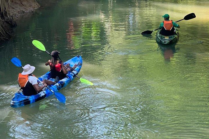 Mangrove Kayak