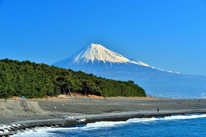 Mount Fuji View Shimizu Customized Tour med licenseret Vejleder