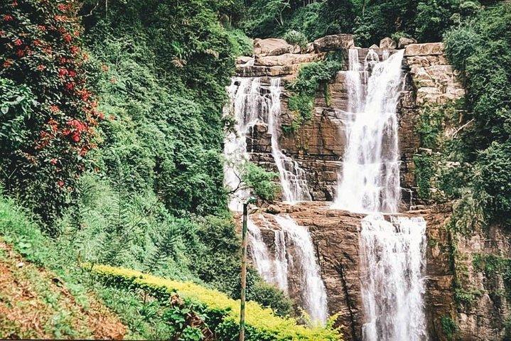 Excursion privée d'une journée à Ella au départ de Kandy