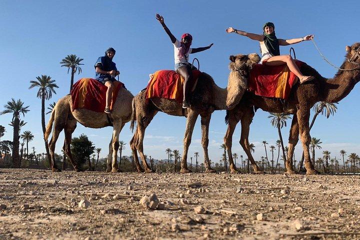 "Marrakech e il deserto" Avventura di 7 giorni non stop.