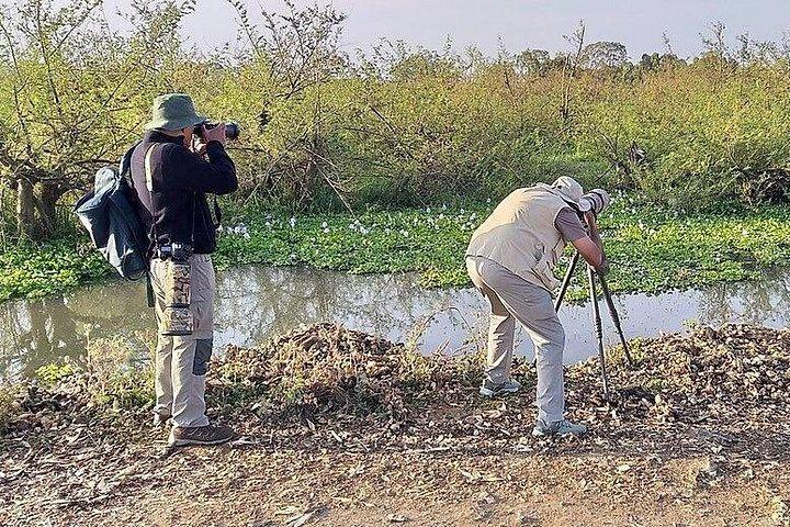 ETHIOPIA BIRDWATCHING— 10 Days