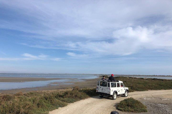 Camargue 4x4 Safari 2 timer Saintes Maries de la Mer